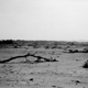 Illustration for article titled Fukushima Ghost Towns